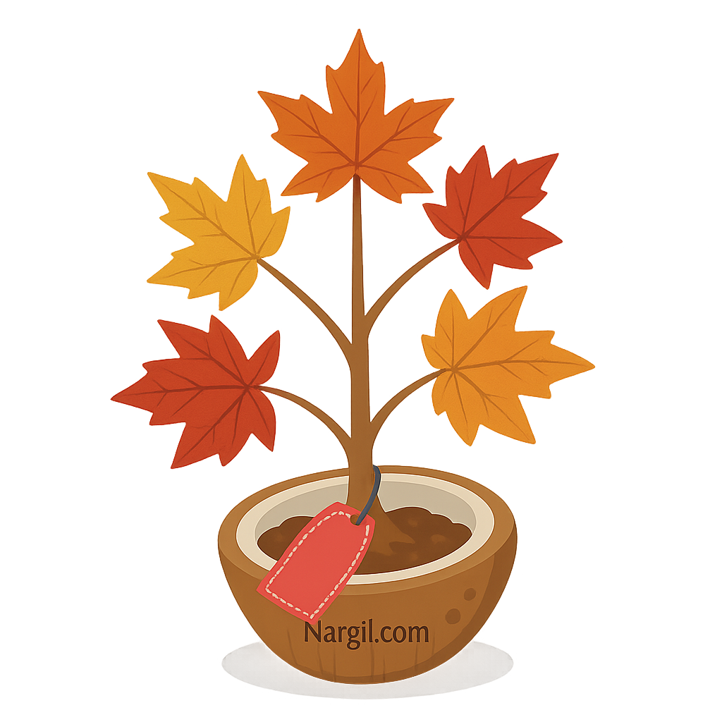  Nargil - American sweetgum